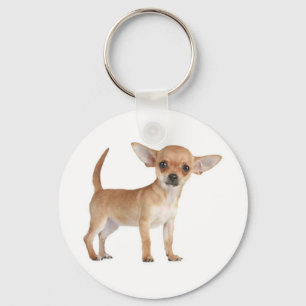 Liebe Chihuahua Welpen Hund Schlüsselanhänger