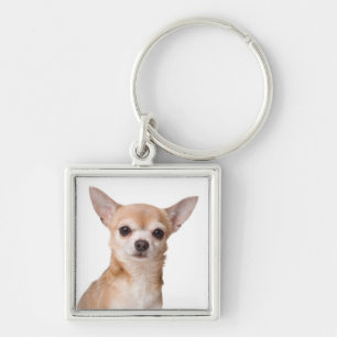 Liebe Chihuahua-Welpen-Hund Schlüsselanhänger