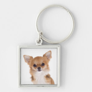 Liebe Chihuahua Welpen Hund Schlüsselanhänger