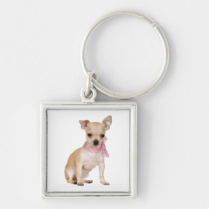 Liebe Chihuahua-Welpen-Hund-Schlüsselanhänger Schlüsselanhänger
