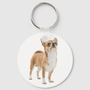 Liebe Chihuahua-Welpen-Hund-Schlüsselanhänger Schlüsselanhänger