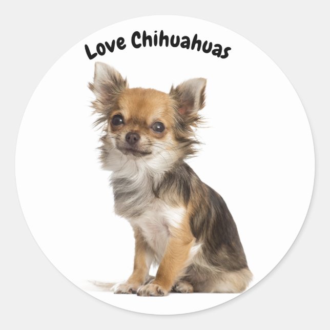 Liebe Chihuahuas Runder Aufkleber (Vorderseite)