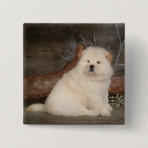 Liebe Chow Chow Puppy Hund Button Button