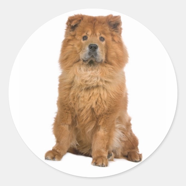 Liebe Chow Chow Welpe Hund Gruß Sticker (Vorderseite)
