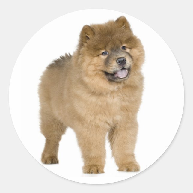 Liebe Chow Chow Welpe Hund Gruß Sticker (Vorderseite)