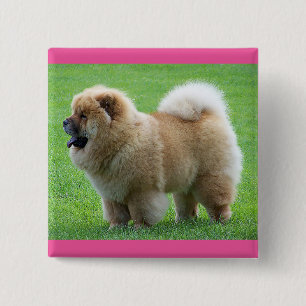 Liebe Chow Chow Welpe Hund Knopf Pin Button