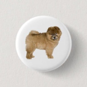 Liebe Chow Chow Welpe Hund Knopf Pin Button