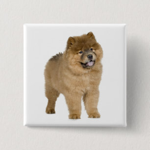 Liebe Chow Chow Welpe Hund Knopf Pin Button
