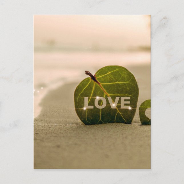 Liebe Coast Love Postkarte (Vorderseite)