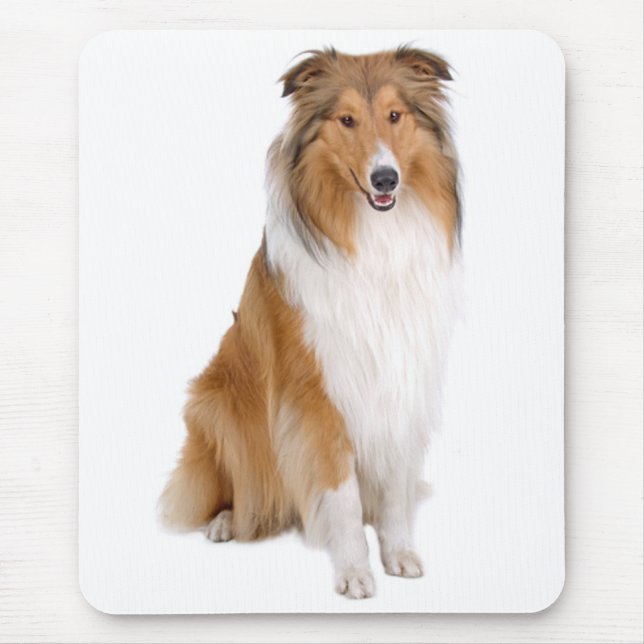 Liebe Collie Welpe Hund (Lassie) Mousepad (Vorne)
