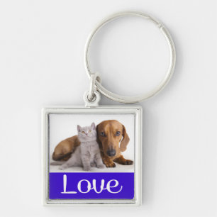 Liebe Dachshund-Welpen-Hund-und-Kätzchen-Schlüssel Schlüsselanhänger