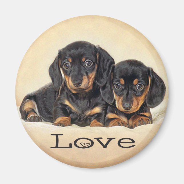 Liebe Dackel Welpen Hund Kühlschrankmagnet Magnet (Vorne)