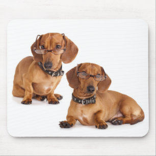 Liebe Dackel Welpen Hund Mousepad