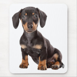 Liebe-Dackel-Welpen-Hundecomputer Mousepad