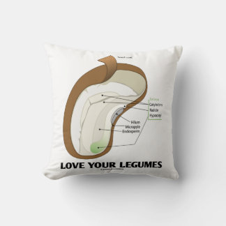 Liebe Deine Leguminosen Bean Dicotyledon Kissen