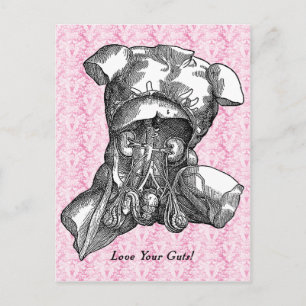 Liebe deinen Bauch Postkarte