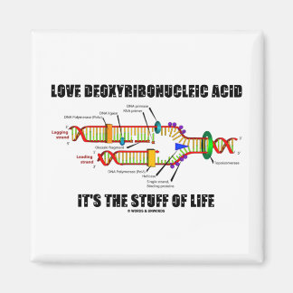 Liebe Deoxyribonukleinsäure Es ist das Leben Magnet