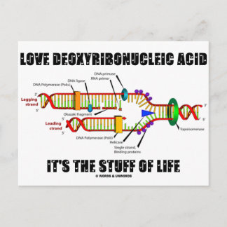 Liebe Deoxyribonukleinsäure Es ist das Leben Postkarte