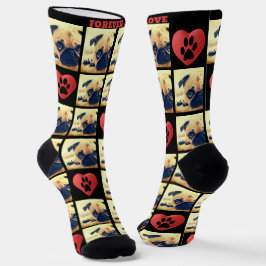 Liebe der Collage-Liebe des Fotos Socken
