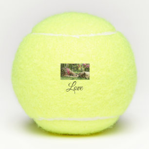 Liebe der Hundemutter fügt den Liebhabern des Begl Tennisbälle