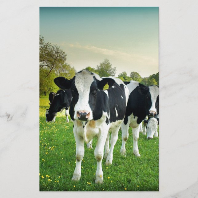 Liebe der Kühe (Vorderseite)