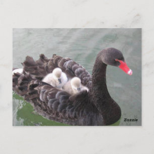 Liebe der Mütter Postkarte