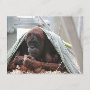 Liebe der Mütter Postkarte