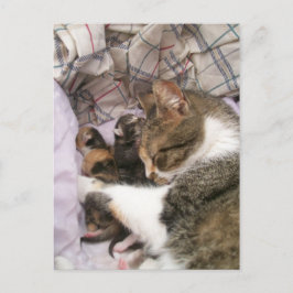 Liebe der Mütter Postkarte