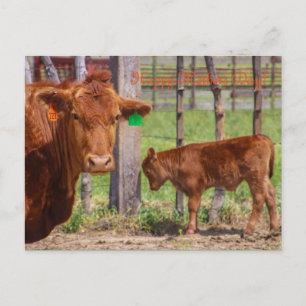 Liebe der Mütter Postkarte
