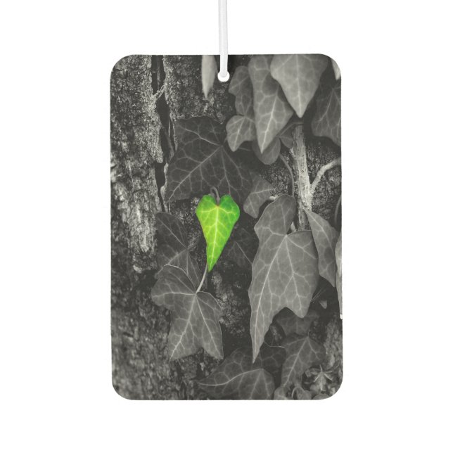 Liebe der Natur Autolufterfrischer (Vorderseite)