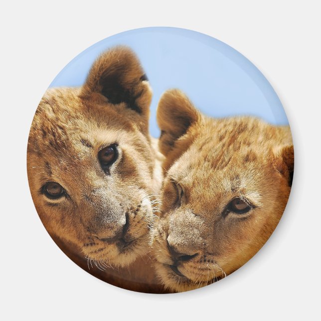 Liebe des Babys Magnet (Vorne)