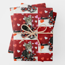 Liebe des Bandit - Katzenpapierblätter Geschenkpapier Set