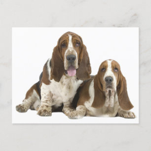 Liebe des Basset Hound Puppy Dog, Hallo denken Sie Postkarte
