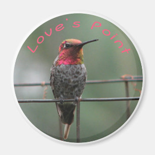 Liebe des Hummingbird-Magneten Magnet