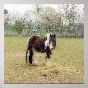 Liebe des Pferdes - niedlich Tinker Poster
