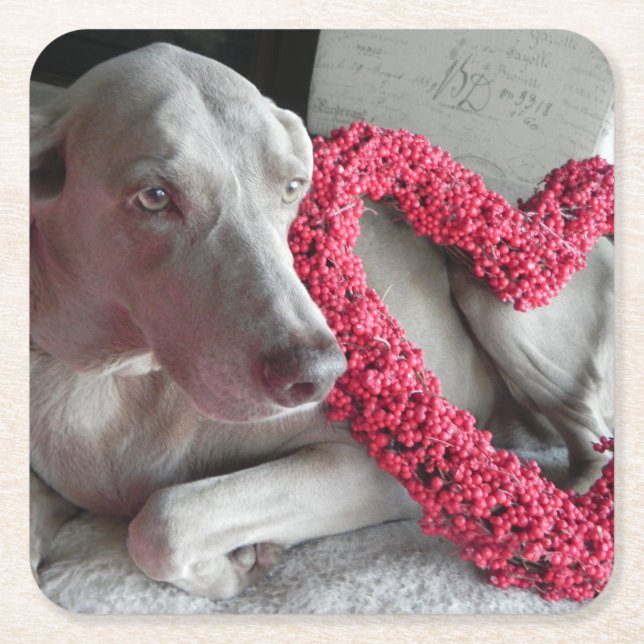 Liebe des Regens - Weimaraner Dog Paper Untersetze Rechteckiger Pappuntersetzer (Vorderseite)