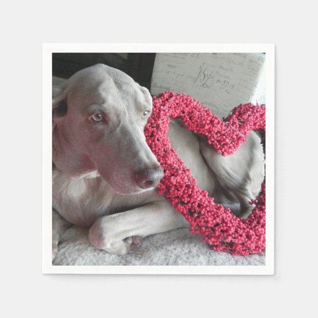 Liebe des Regens - Weimaraner Hund Napkins Serviette (Vorderseite)