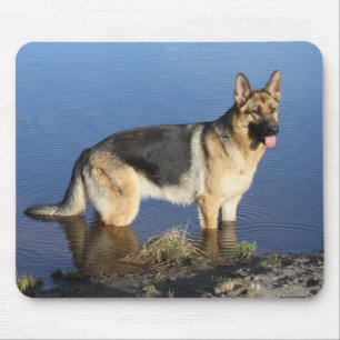 Liebe Deutsche Schäferhund-Welpe-Hund-Porträt-Maus Mousepad
