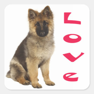 Liebe Deutsche Schäferhund Welpen Aufkleber