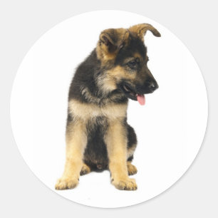 Liebe Deutsche Schäferhund Welpen Aufkleber