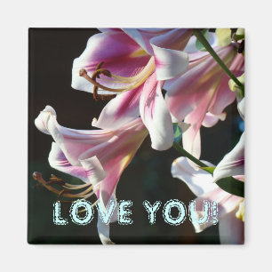 LIEBE DICH! Magnet Rosa Sommerlilien Blumen
