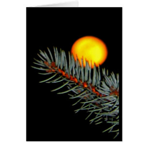 Liebe dich zum Mond und zurück!