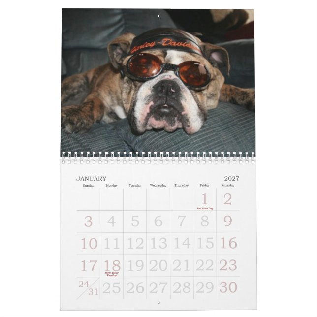 Liebe diese Bulldogge Calander Kalender (Jan 2027)