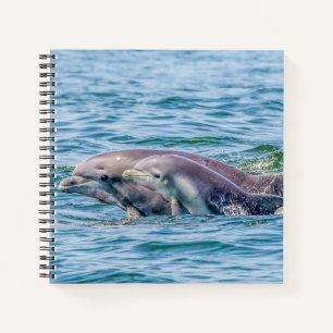 Liebe Dolphin & Baby Notebook Notizbuch