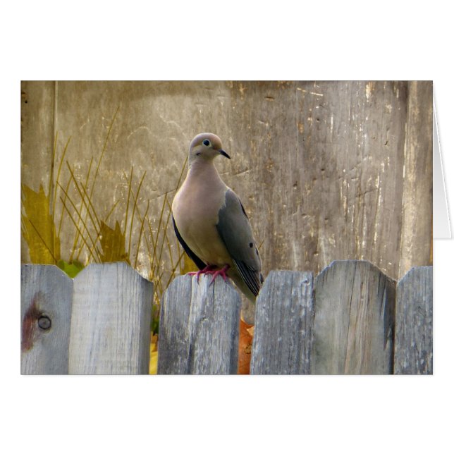 Liebe Dove anpassbar (Vorderseite (Horizontal))