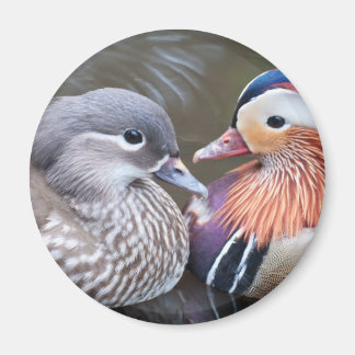 Liebe Ducks Magnet