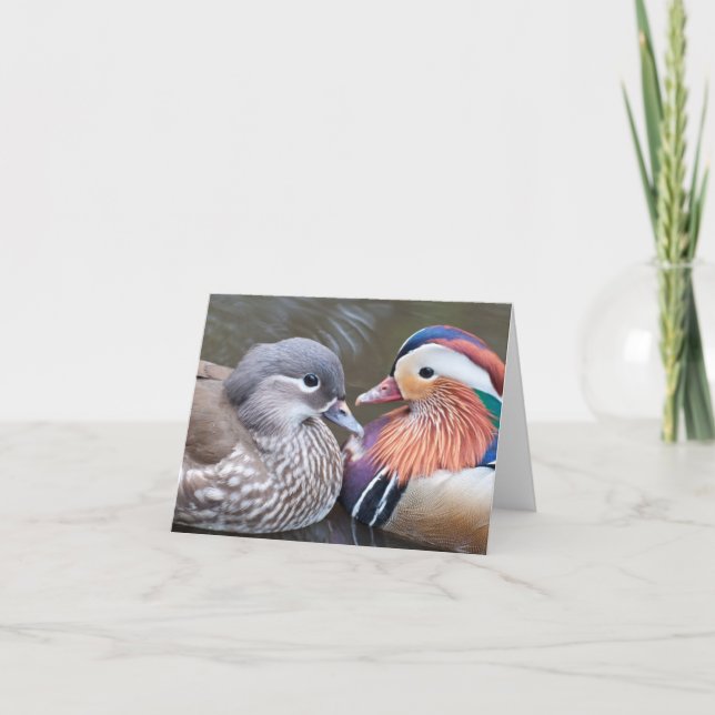 "Liebe duckt" Notecard Karte (Vorderseite)