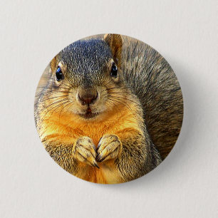 Liebe Eichhörnchen_ Button