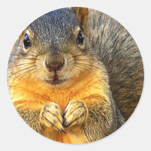 Liebe Eichhörnchen_ Runder Aufkleber