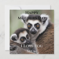 **"Liebe einer Mutter: Mama und Baby Lemur Cuddlin